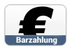 barzahlung-Zahlmethode.png